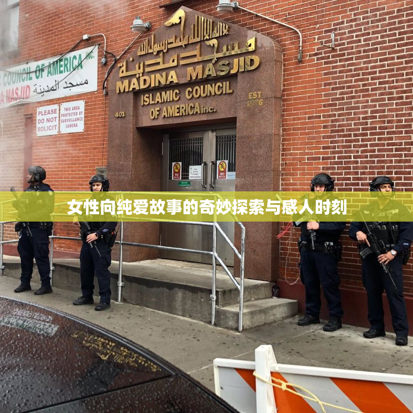 女性向纯爱故事的奇妙探索与感人时刻