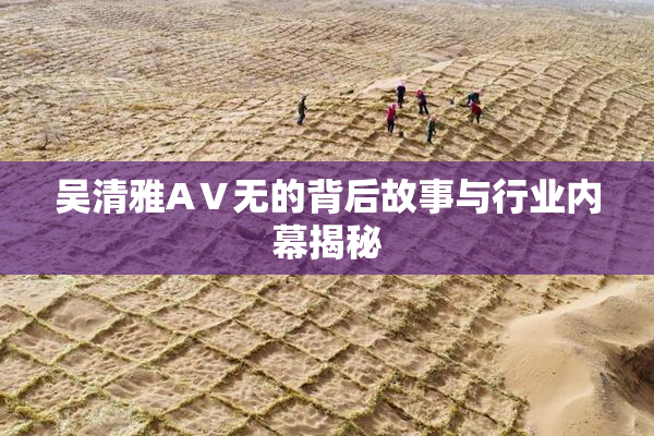 吴清雅AⅤ无的背后故事与行业内幕揭秘