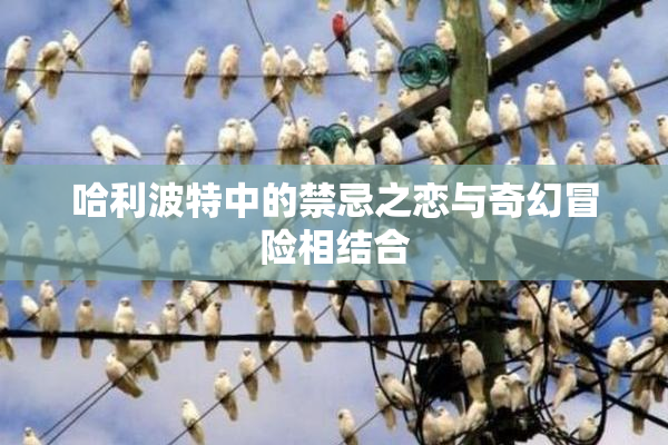 哈利波特中的禁忌之恋与奇幻冒险相结合