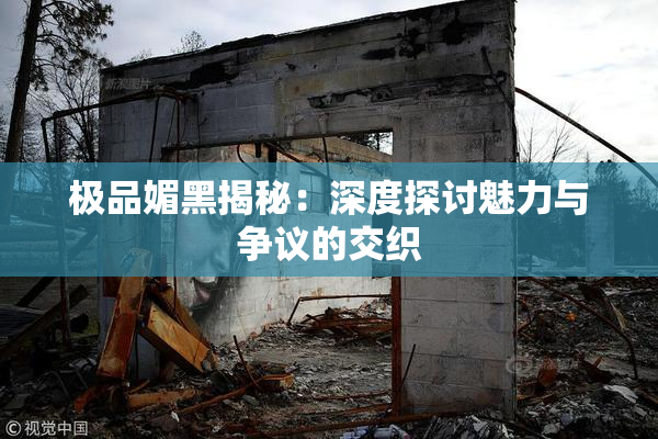 极品媚黑揭秘：深度探讨魅力与争议的交织