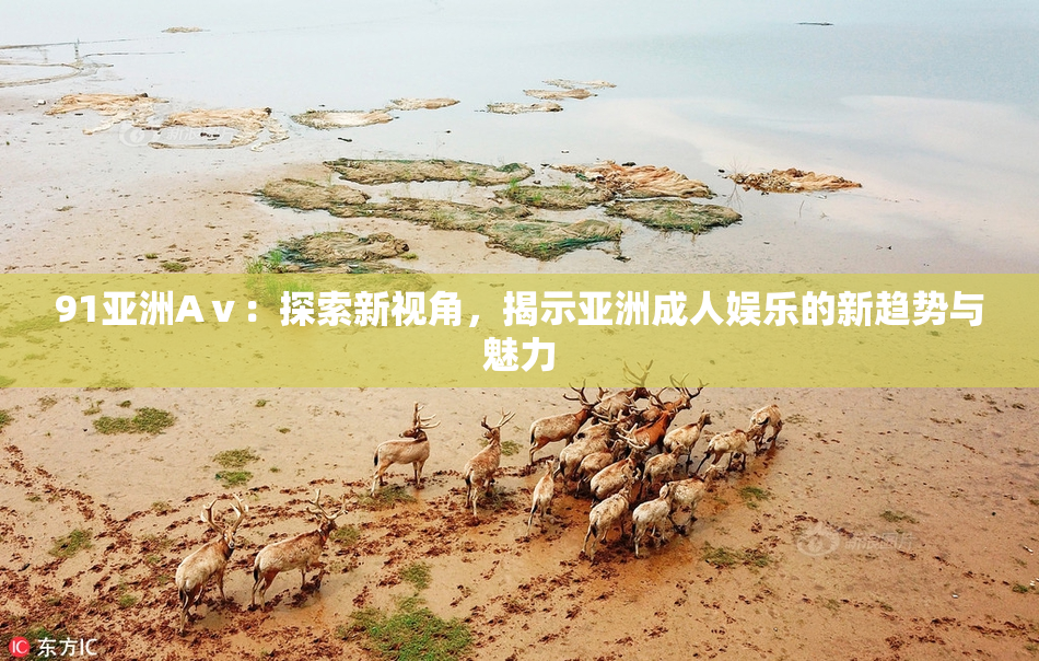 91亚洲Aⅴ：探索新视角，揭示亚洲成人娱乐的新趋势与魅力