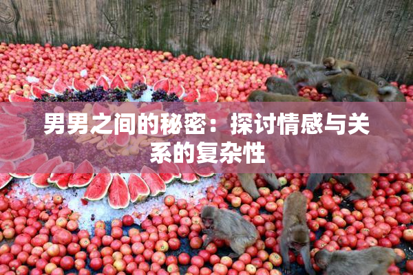 男男之间的秘密：探讨情感与关系的复杂性