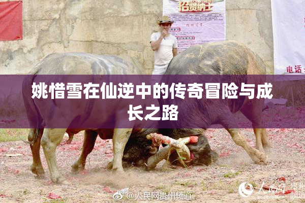 姚惜雪在仙逆中的传奇冒险与成长之路