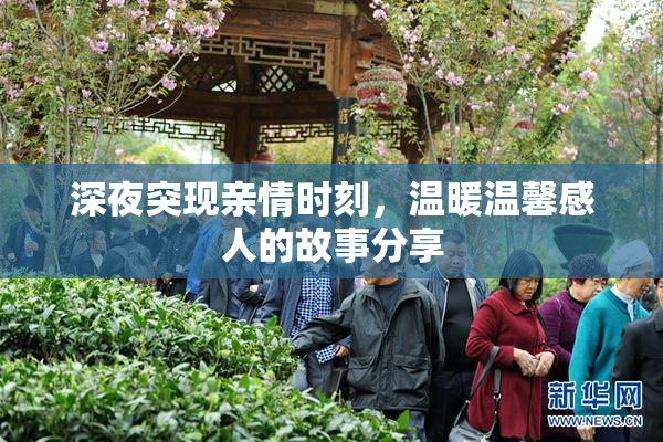 深夜突现亲情时刻，温暖温馨感人的故事分享