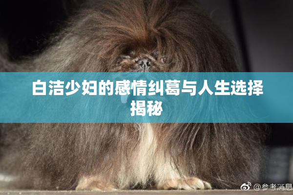 白洁少妇的感情纠葛与人生选择揭秘