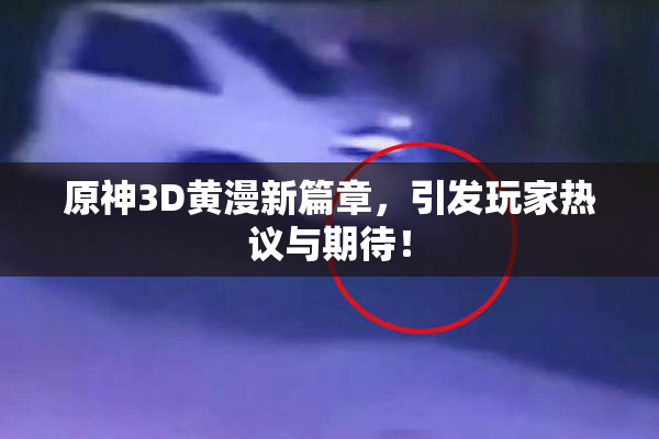 原神3D黄漫新篇章，引发玩家热议与期待！
