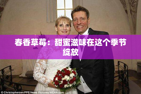 春香草莓：甜蜜滋味在这个季节绽放