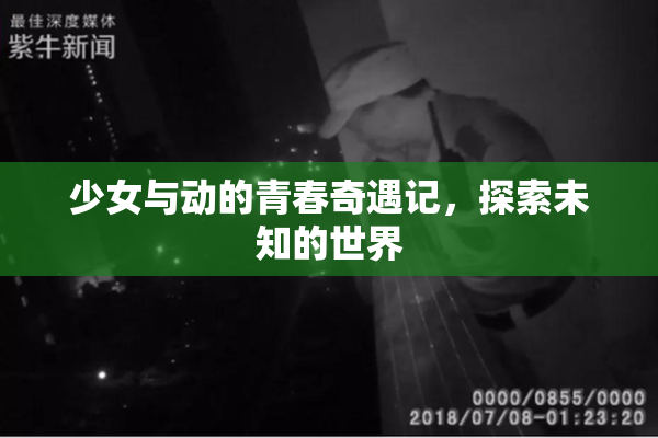 少女与动的青春奇遇记，探索未知的世界