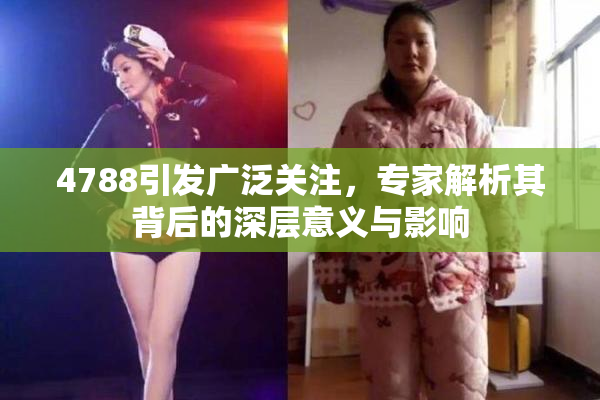 4788引发广泛关注，专家解析其背后的深层意义与影响
