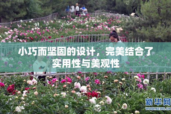 小巧而坚固的设计，完美结合了实用性与美观性