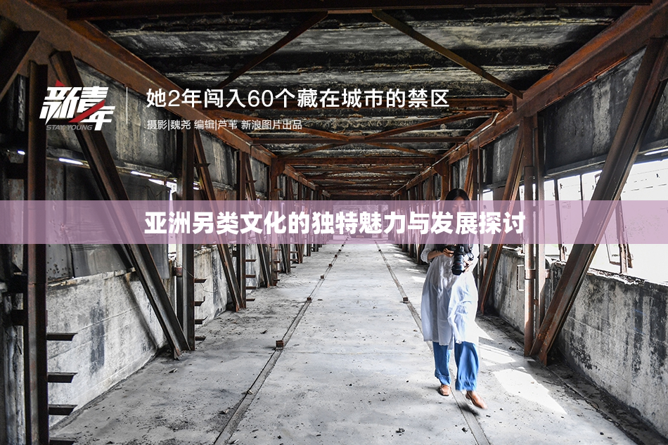 亚洲另类文化的独特魅力与发展探讨