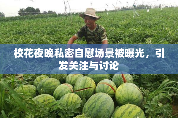 校花夜晚私密自慰场景被曝光，引发关注与讨论