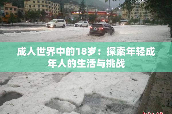 成人世界中的18岁：探索年轻成年人的生活与挑战