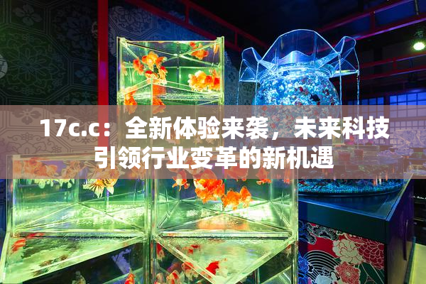 17c.c：全新体验来袭，未来科技引领行业变革的新机遇