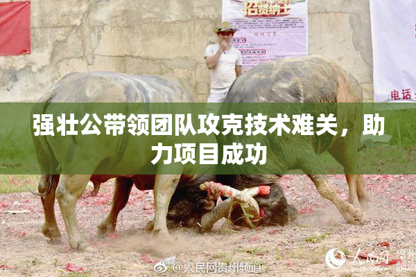 强壮公带领团队攻克技术难关，助力项目成功