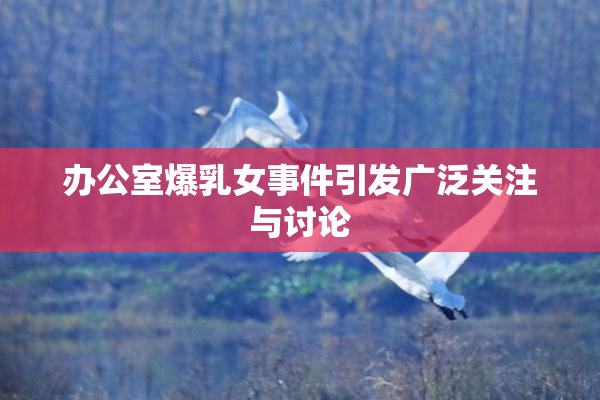 办公室爆乳女事件引发广泛关注与讨论