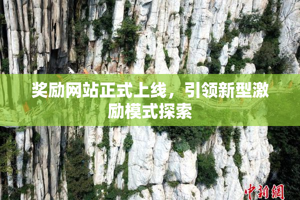 奖励网站正式上线，引领新型激励模式探索