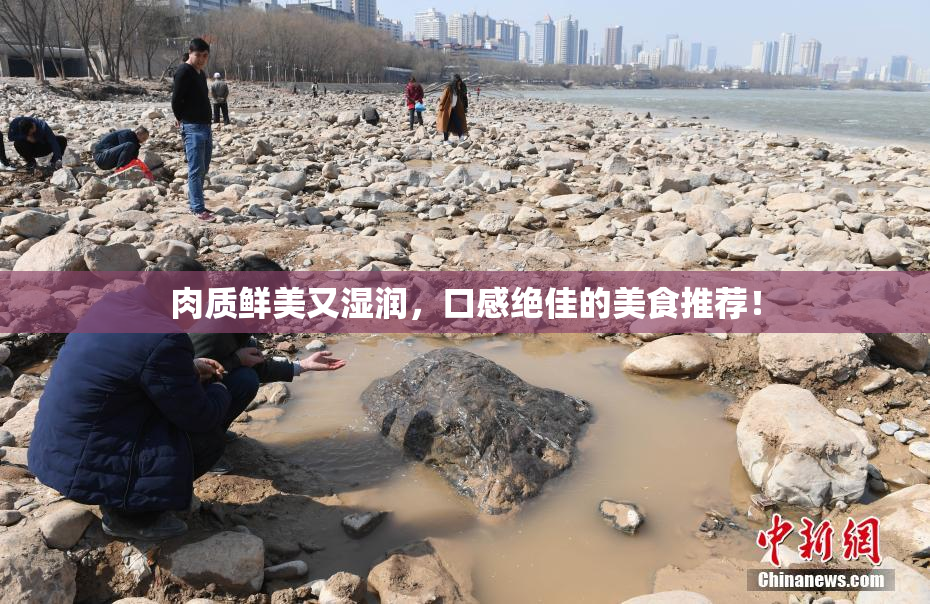 肉质鲜美又湿润，口感绝佳的美食推荐！