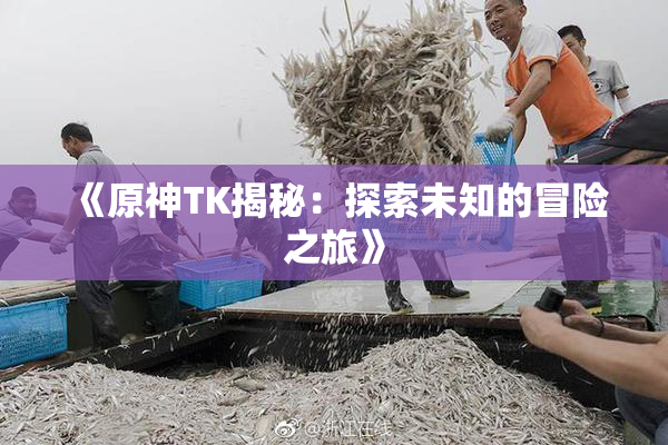 《原神TK揭秘：探索未知的冒险之旅》