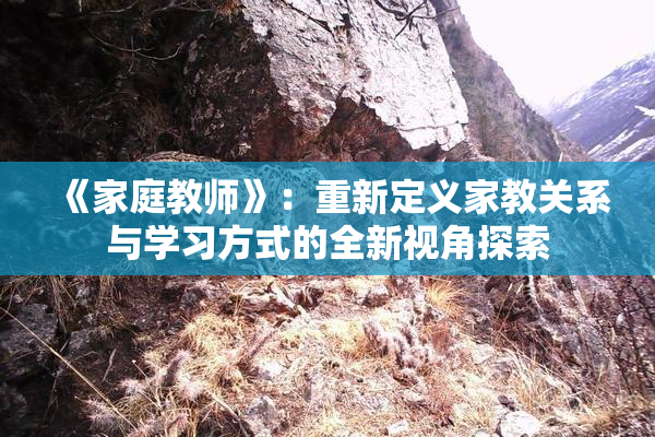《家庭教师》：重新定义家教关系与学习方式的全新视角探索