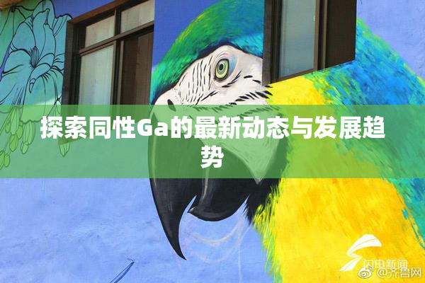 探索同性Ga的最新动态与发展趋势