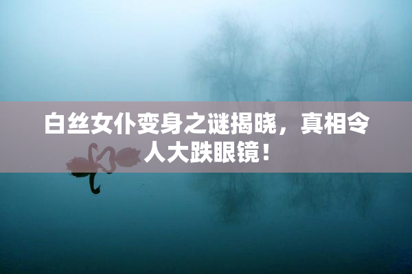 白丝女仆变身之谜揭晓，真相令人大跌眼镜！