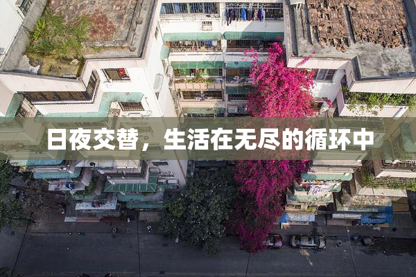 日夜交替，生活在无尽的循环中