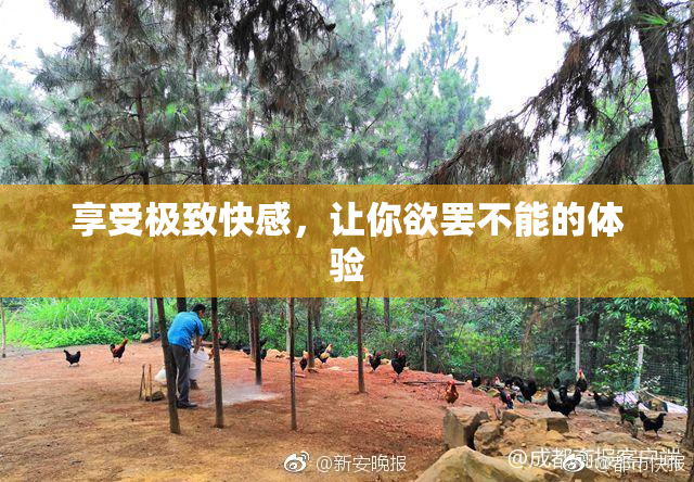 享受极致快感，让你欲罢不能的体验