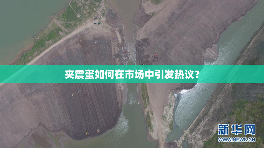 夹震蛋如何在市场中引发热议？