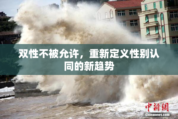 双性不被允许，重新定义性别认同的新趋势
