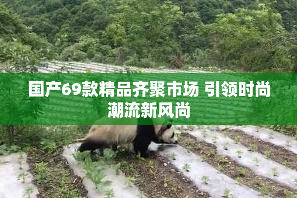 国产69款精品齐聚市场 引领时尚潮流新风尚