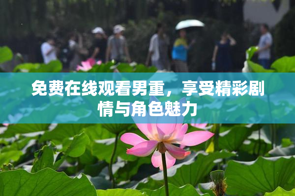 免费在线观看男重，享受精彩剧情与角色魅力