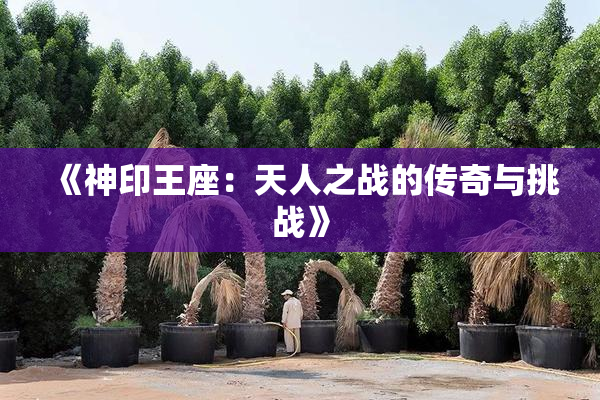 《神印王座：天人之战的传奇与挑战》