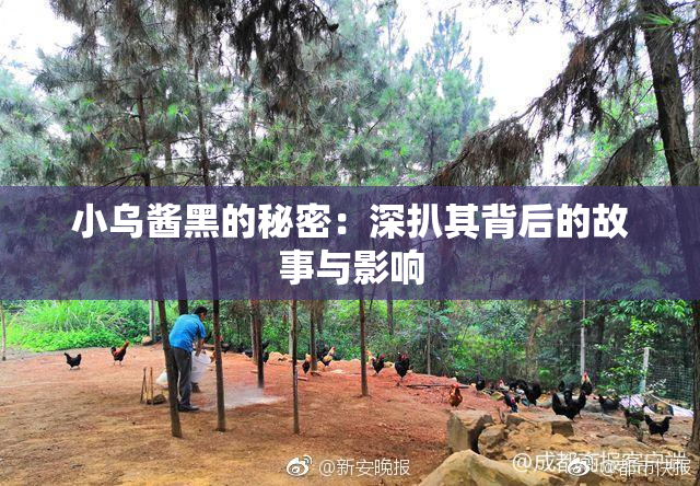 小乌酱黑的秘密：深扒其背后的故事与影响