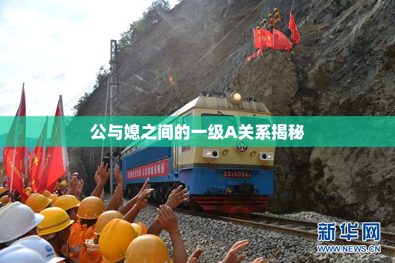 公与媳之间的一级A关系揭秘