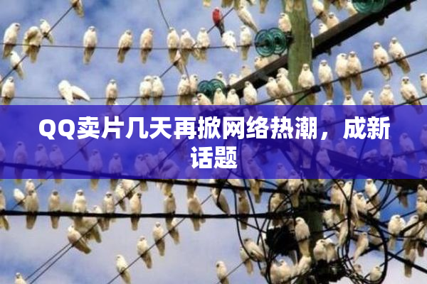 QQ卖片几天再掀网络热潮，成新话题