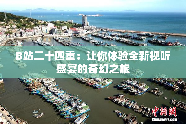 B站二十四重：让你体验全新视听盛宴的奇幻之旅