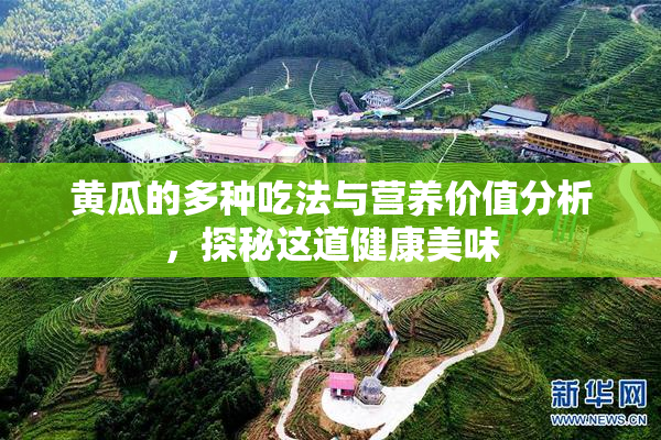 黄瓜的多种吃法与营养价值分析，探秘这道健康美味