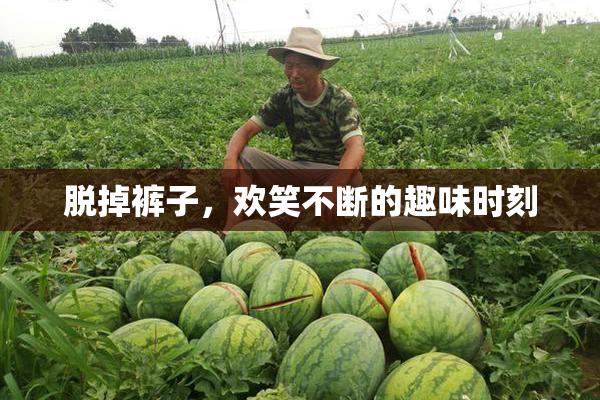 脱掉裤子，欢笑不断的趣味时刻