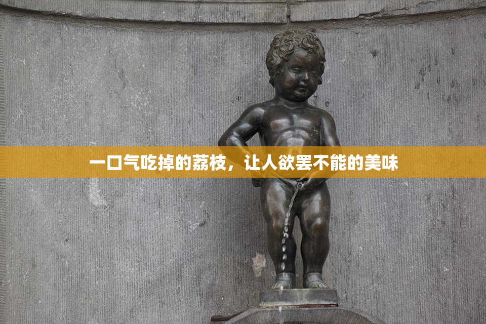 一口气吃掉的荔枝，让人欲罢不能的美味