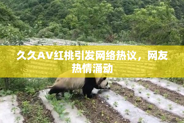 久久AV红桃引发网络热议，网友热情涌动
