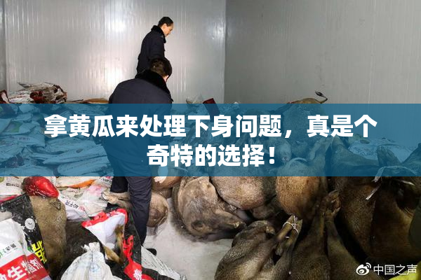 拿黄瓜来处理下身问题，真是个奇特的选择！