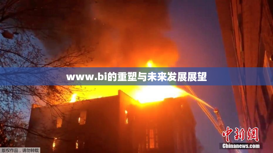 www.bi的重塑与未来发展展望