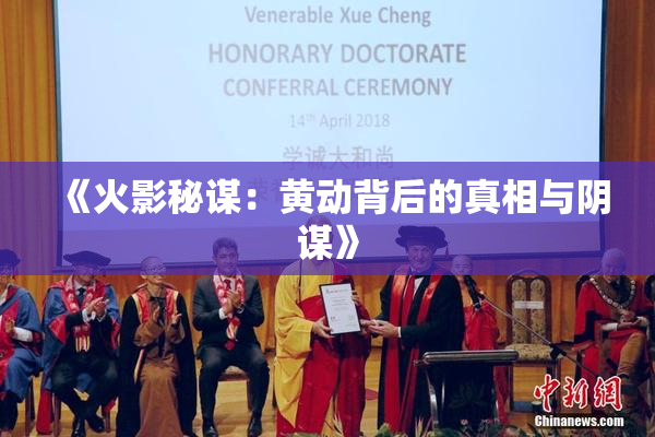 《火影秘谋：黄动背后的真相与阴谋》