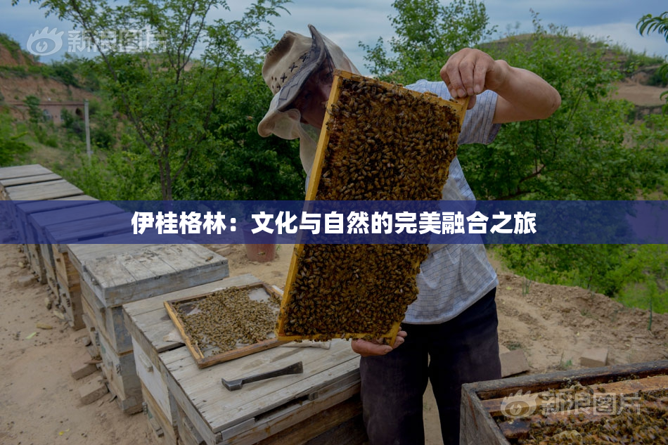 伊桂格林：文化与自然的完美融合之旅