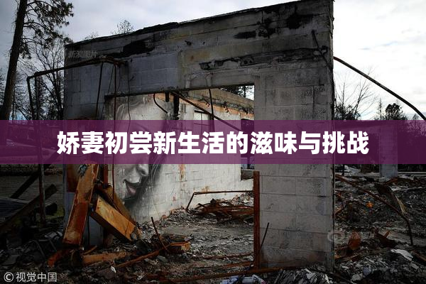 娇妻初尝新生活的滋味与挑战
