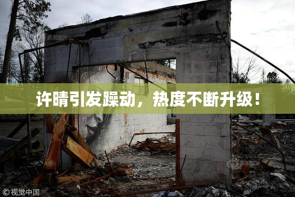 许晴引发躁动，热度不断升级！