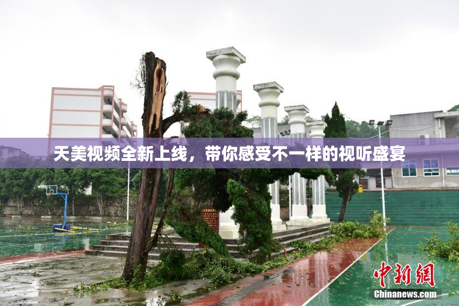 天美视频全新上线，带你感受不一样的视听盛宴