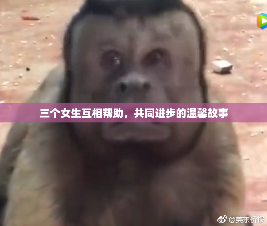 三个女生互相帮助，共同进步的温馨故事