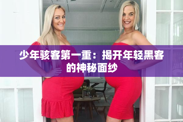 少年骇客第一重：揭开年轻黑客的神秘面纱
